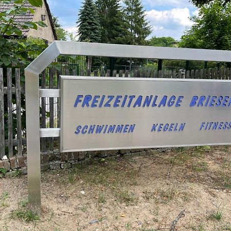 Unter Den Linden Leilighet Halbe Eksteriør bilde